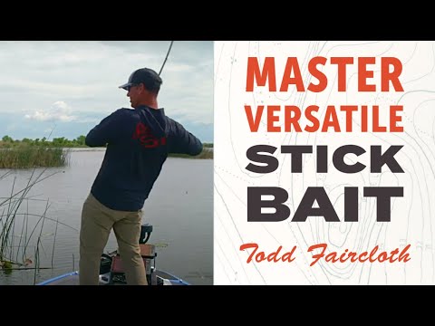 Unleashing the Power of Soft Stickbaits: Ocho Bass Fishing - Todd