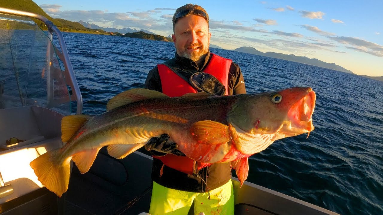 Wędkarska wyprawa życia Lofoty Norwegia. część 1