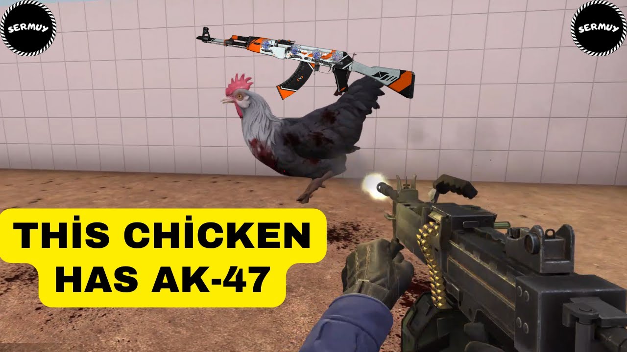 CSGO FUNNY MOMENTS BİG CHİCKEN HAS AK-47 (interesting end) - YouTube