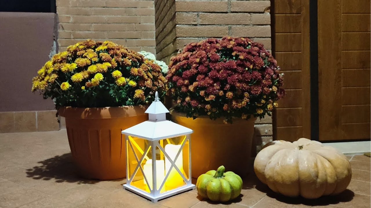 Hello November 🍁🍂🌰