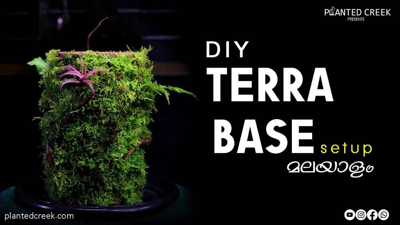 DIY Terra Base Setup. 