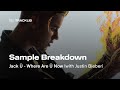 Capture de la vidéo Sample Breakdown: Jack Ü Ft. Justin Bieber - Where Are Ü Now