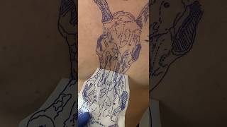 Tattoo stencil #tattoo #losangelestattoo