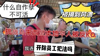 被搞到奔溃想问开除员工犯法吗？自作孽不可活啊！挑战本地华人交流的一天！