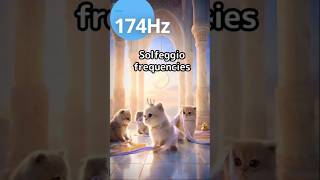 👑王室の子猫たち リボンの舞🎀 #ソルフェジオ周波数 #174Hz😸