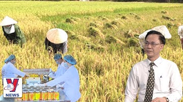 Hợp tác xã trong tái khởi động nền kinh tế hậu Covid19 | Tiêu điểm kinh tế