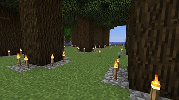 Minecraft 102: Dark Oak Tree Farming