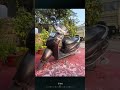 Samsung Galaxy S24 FE AI Video Editing | Super Smart Al Features#samsung