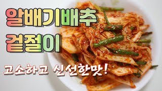 알배기배추겉절이 즉석으로 간단하고 맛있게 만들기