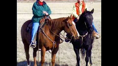Sue Curtis Tribute