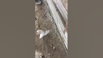 How to Install ModCrete AAC Fibre Mesh