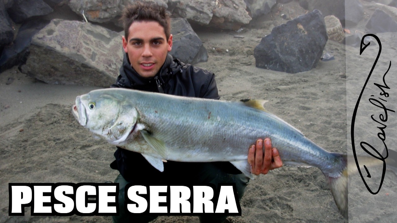 Секрет рыбы Серра