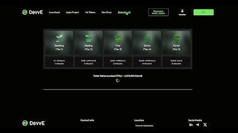 How to stake on the DevvE Launchpad  #tutorial #crypto