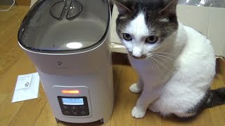 猫の自動給餌器買ったけど使い方が分からん