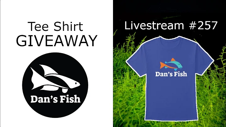 Orange Venezuelan Cory TShirt Giveaway - Ep. 257