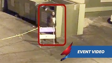 Virtual Security Guard in Action