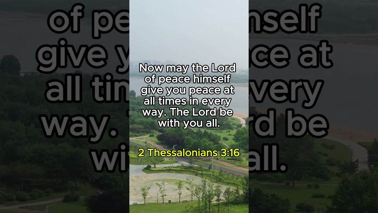 Stillness Is Not Emptiness 