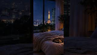 Cat in Tokyo Night Room 🌃🐱 | 30 Sec Lo-fi Sleep #Shorts