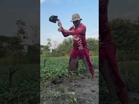 NYUNYUT RAINE JIBRAT LINET || Shorts #3
