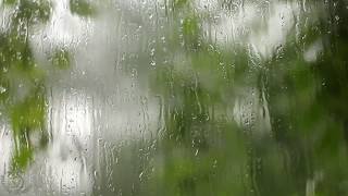 💦 Sleep Video with Thunder, Wind & Rain Hitting Your Window, this video can make you very sleepy!