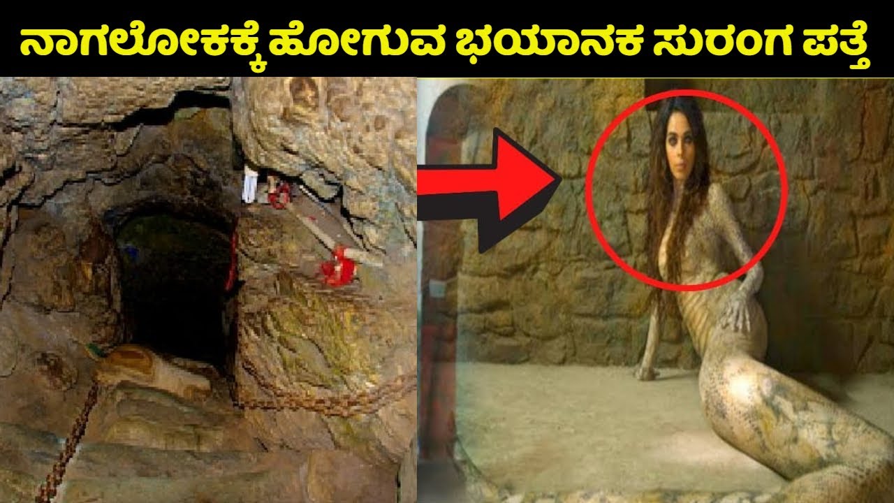 ಸ್ವರ್ಗಕ್ಕಿಂತ ಸುಂದರ ಈ ನಾಗಲೋಕ ಆದರೆ ಅಷ್ಟೇ ಭಯಾನಕ | Nagaloka Mystery | Nagapanchami |Kannada News | Snake