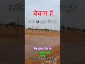 🏡✨ जामुल-सुडुम में प्रीमियम फार्म हाउस प्लॉट – अब सिर्फ ₹1 करोड़ प्रति एकड़!📲 9893370648
