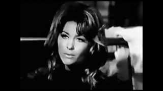 Michele Carey In The Tv Show T.h.e. Cat