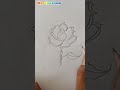 Easy rose flower pencil drawing shorts flowers lotus drawing rose