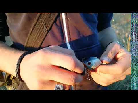 თევზაობა ვობლერით (Pike fishing)