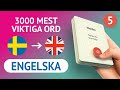 🎧  ENGELSKA ORD – DEL #5 - 300 viktigaste orden 🔔