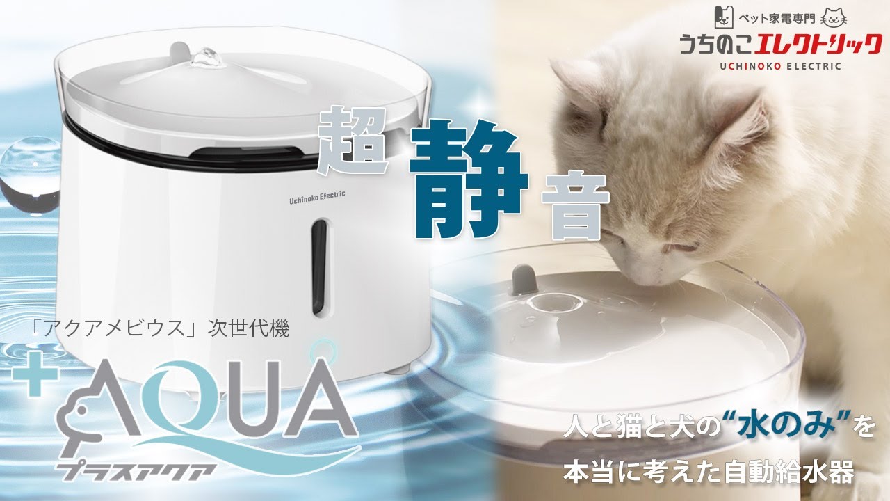 プラスアクア - +AQUA - 猫 犬 用 自動 給水器 モニターさんに体験していただきました★ペットの健康は おいしい お水 から！  ゴクゴク飲んでね♪ plusAqua うちのこエレクトリック