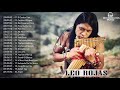 Leo Rojas Greatest Hits Full Album 2017 | Top 30 Best Songs By Leo Rojas