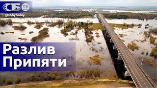 Разлив реки Припять | Паводки в Гомельской области | Река затопила дома и подворья