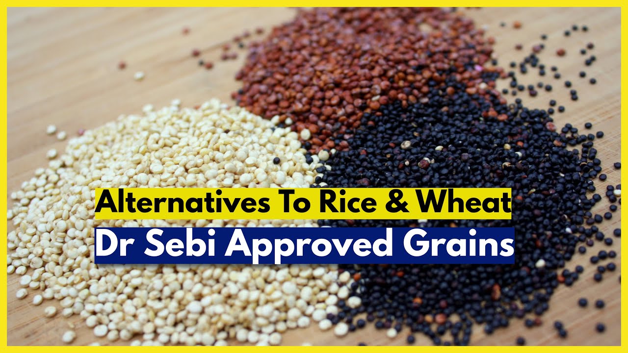 DR SEBI APPROVED GRAINS / SEEDS [ALL] ALTERNATIVES TO RICE & WHEAT 