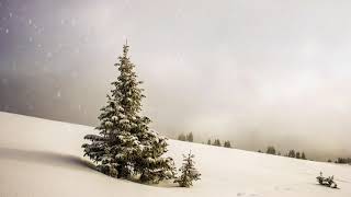 fondo en movimiento paisaje nevado arbol de navidad
