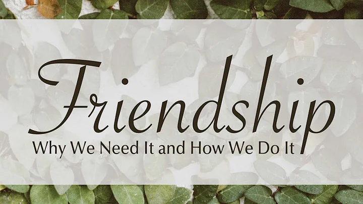 The Foundation of Friendship | Trish Donohue | Rom...