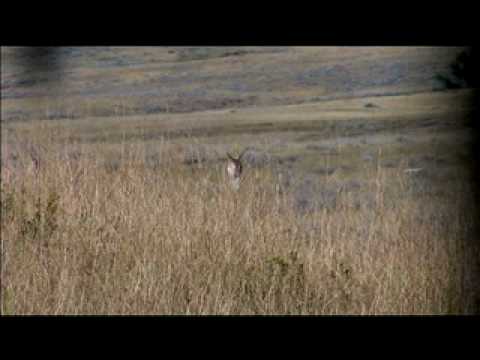 Chris Sanford Wyoming Archery Antelope