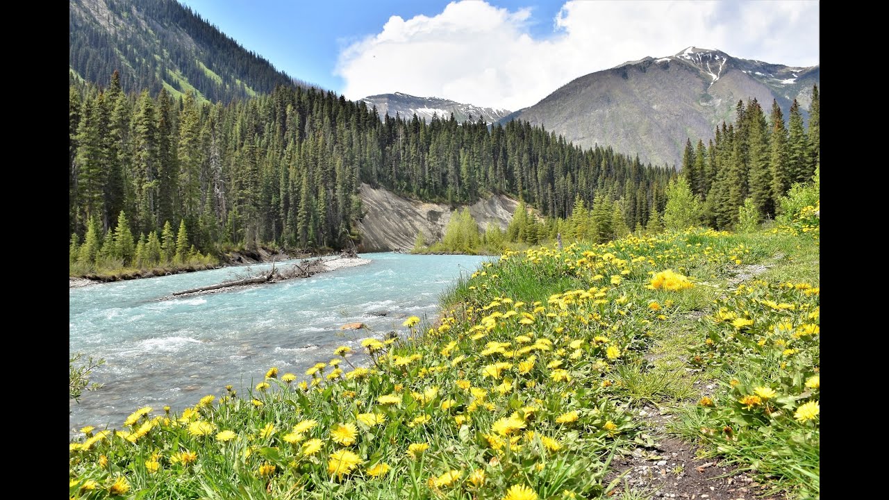 KOOTENAY NATIONAL PARK   NUMA FALLS AND SINCLAIR CANYON