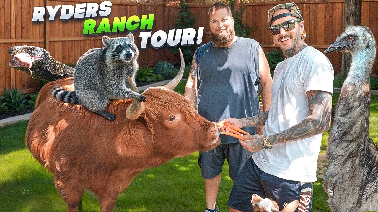 Татуировка совы и экскурсия на ранчо Райдерс!