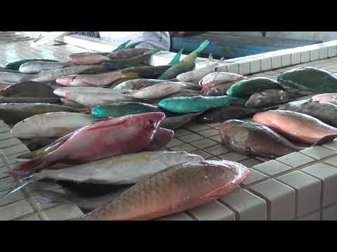 A climpse of the Fish Market in Apia Samoa