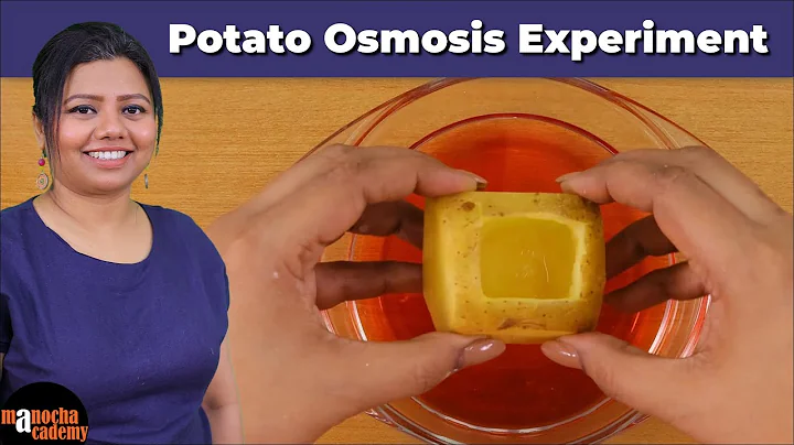 Osmosis Experiment
