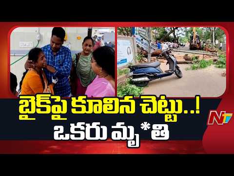 Guntur: బైక్⁪పై కూలిన చెట్టు.. ఒకరు మృ*తి | NTV Telugu - NTVTELUGU