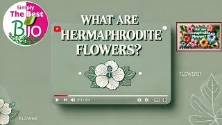 What are hermaphrodite flowers @simplythebestbio