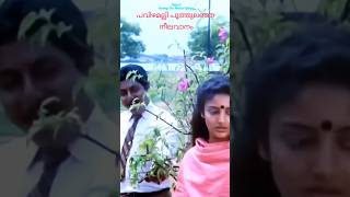   Pavizhamalli Poothulanja sarangi The Al Library