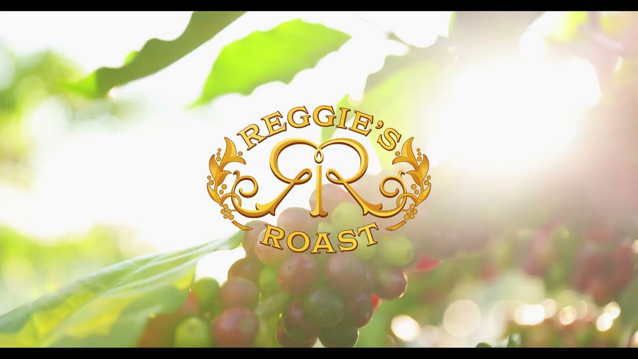 Discover Reggie’s Roast: From Farm to Cup ☕️🌱