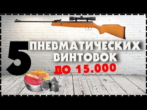 Топ 5 Пневматических Винтовок До 15000