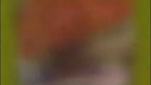 WHAT'S HAPPENING/ THE LAST PAGE / FULL EPISODE S3/E19