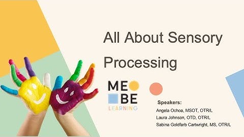 MeBe Learning: All About Sensory Processing