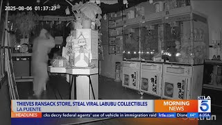 Thieves target Labubu figures in La Puente store break-in
