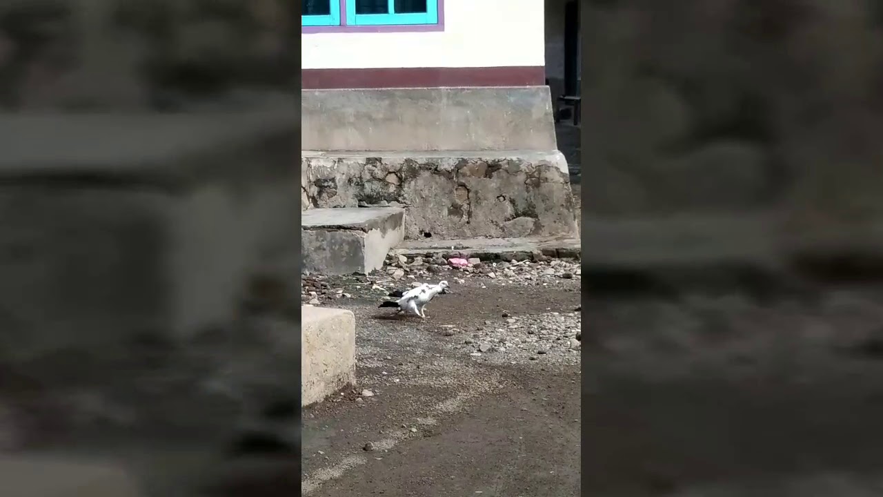  Keajaiban alam di bumi sasak YouTube